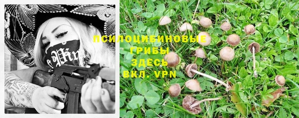 a pvp Алексин
