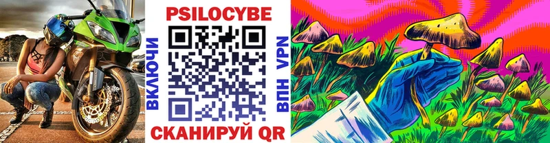 Псилоцибиновые грибы прущие грибы купить наркоту Талдом
